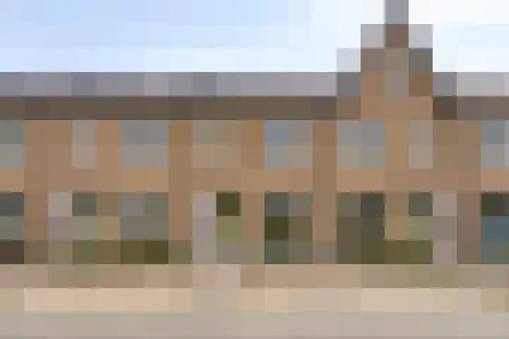 Jeneverbes 8 Borne