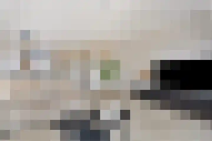 Jeneverbes 8 Borne thumbnail 10