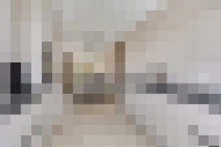 Jeneverbes 8 Borne thumbnail 13