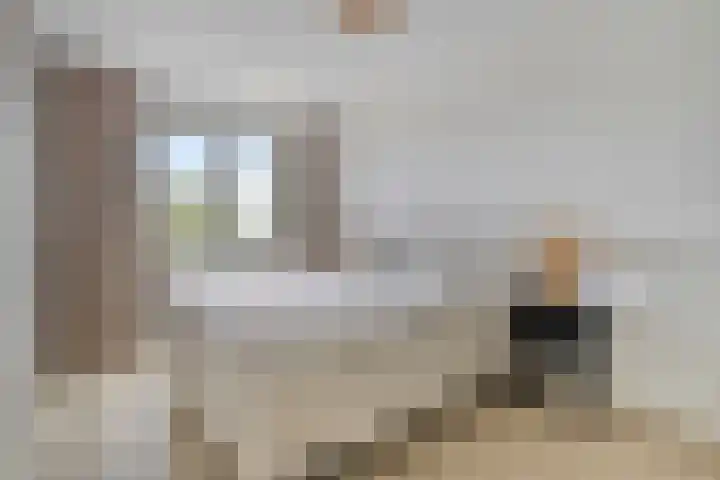Jeneverbes 8 Borne thumbnail 18
