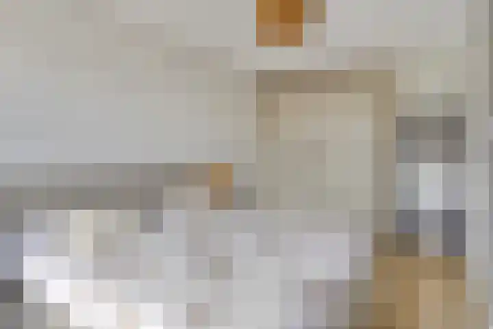Jeneverbes 8 Borne thumbnail 19