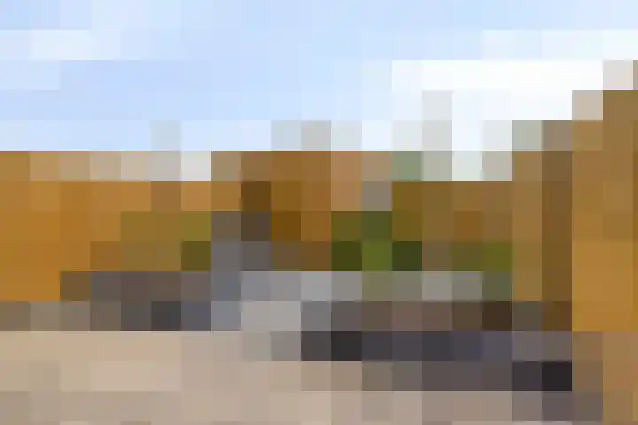 Jeneverbes 8 Borne thumbnail 29
