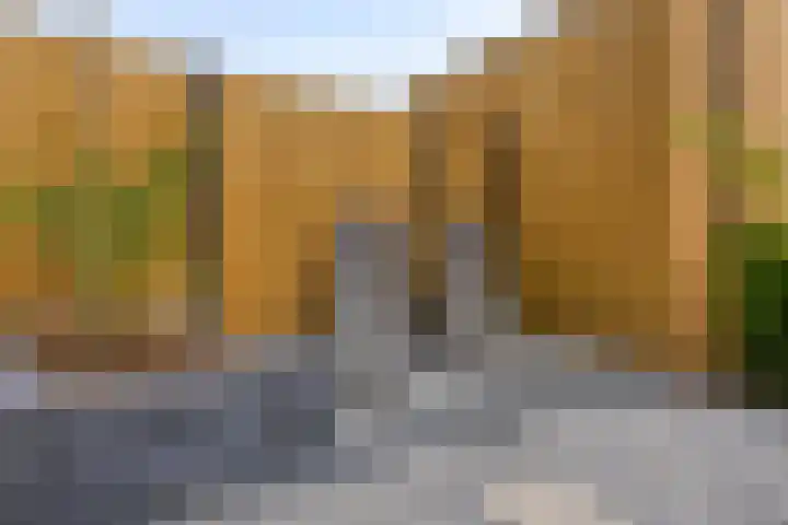 Jeneverbes 8 Borne thumbnail 30