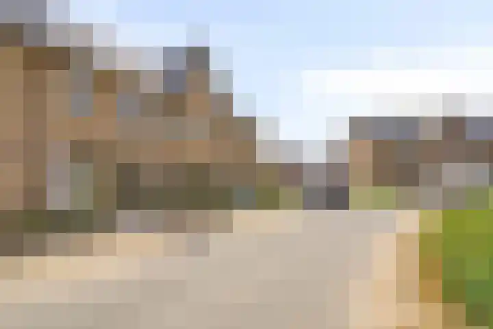 Jeneverbes 8 Borne thumbnail 32