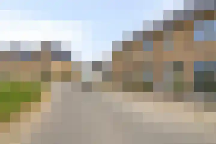 Jeneverbes 8 Borne thumbnail 33