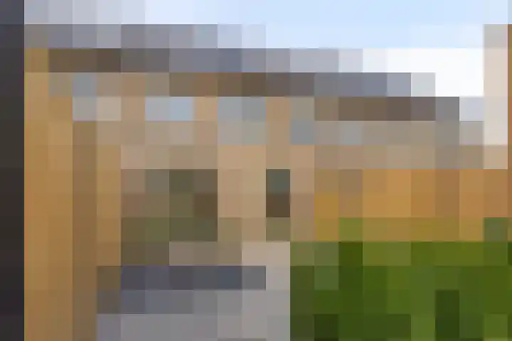 Jeneverbes 8 Borne thumbnail 6