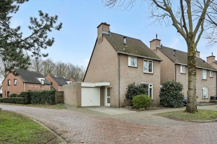 Jeneverbes 8 Oss