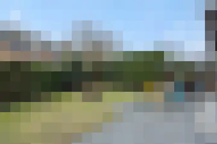 Jeneverbes 8 Oss thumbnail 20