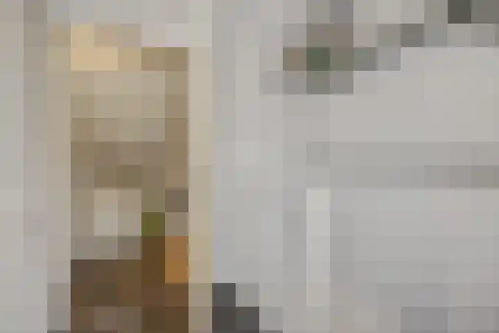 Jeneverbes 8 Oss thumbnail 29