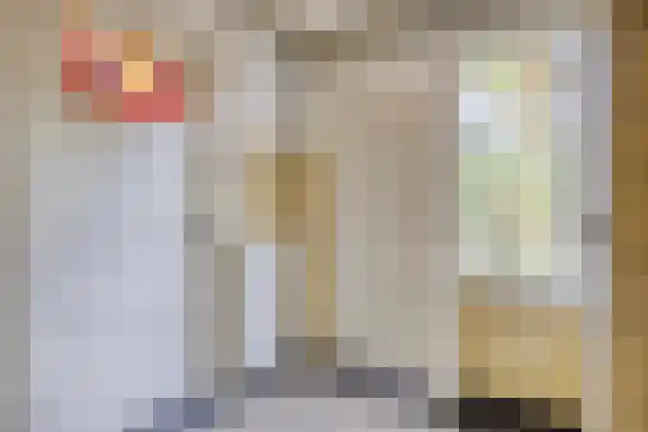 Jeneverbes 8 Oss thumbnail 30