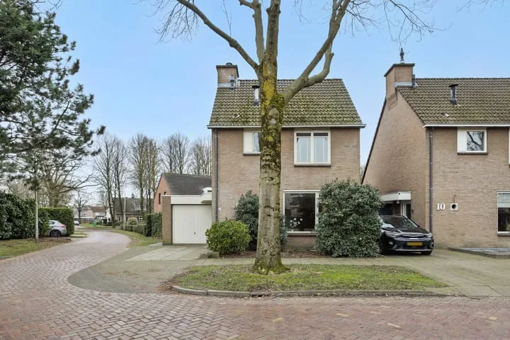 Jeneverbes 8 Oss thumbnail 32