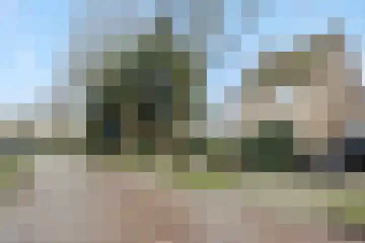 Jeneverbes 8 Oss thumbnail 34