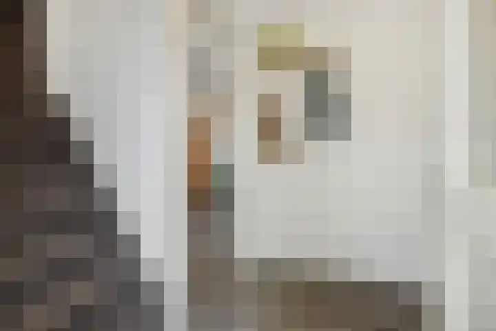 Jeneverbes 8 Oss thumbnail 8