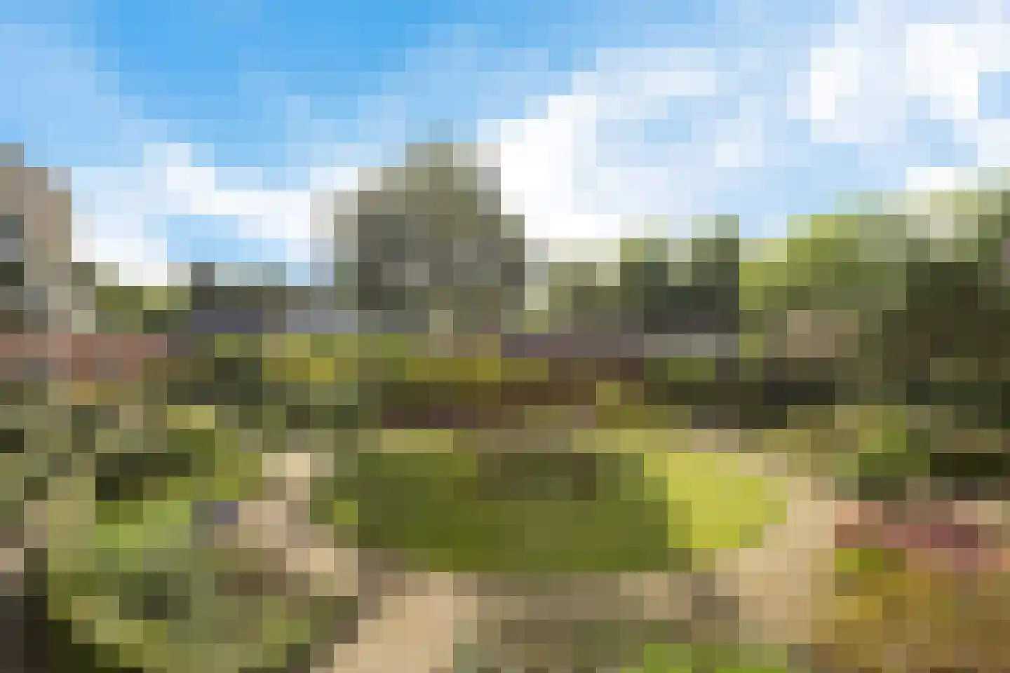 Jeneverbes 91 Oss thumbnail 10