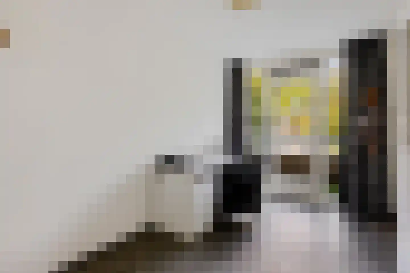 Jeneverbes 91 Oss thumbnail 21