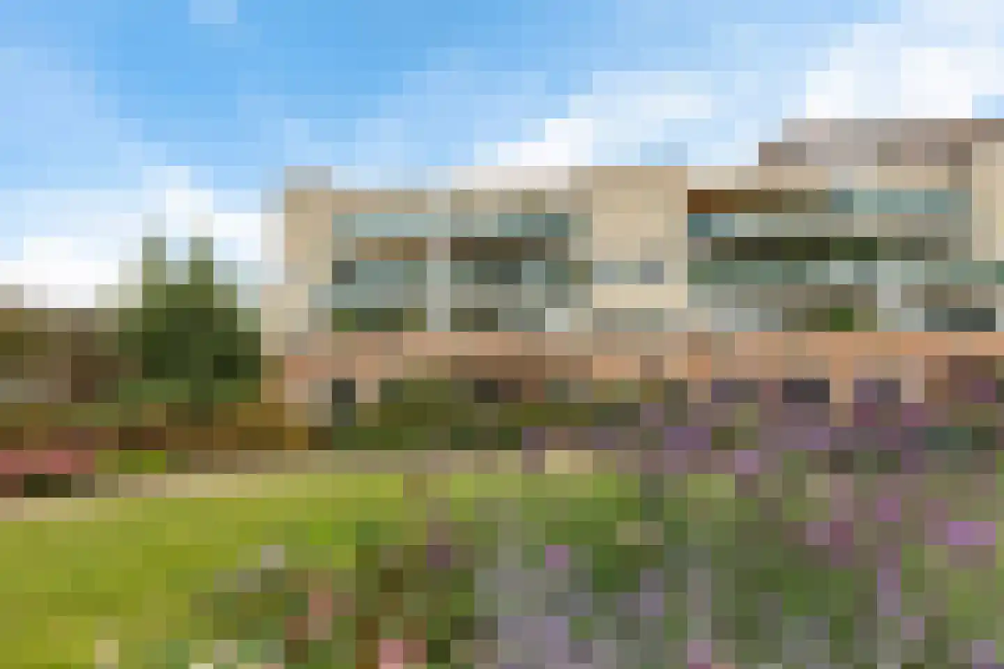 Jeneverbes 91 Oss thumbnail 31