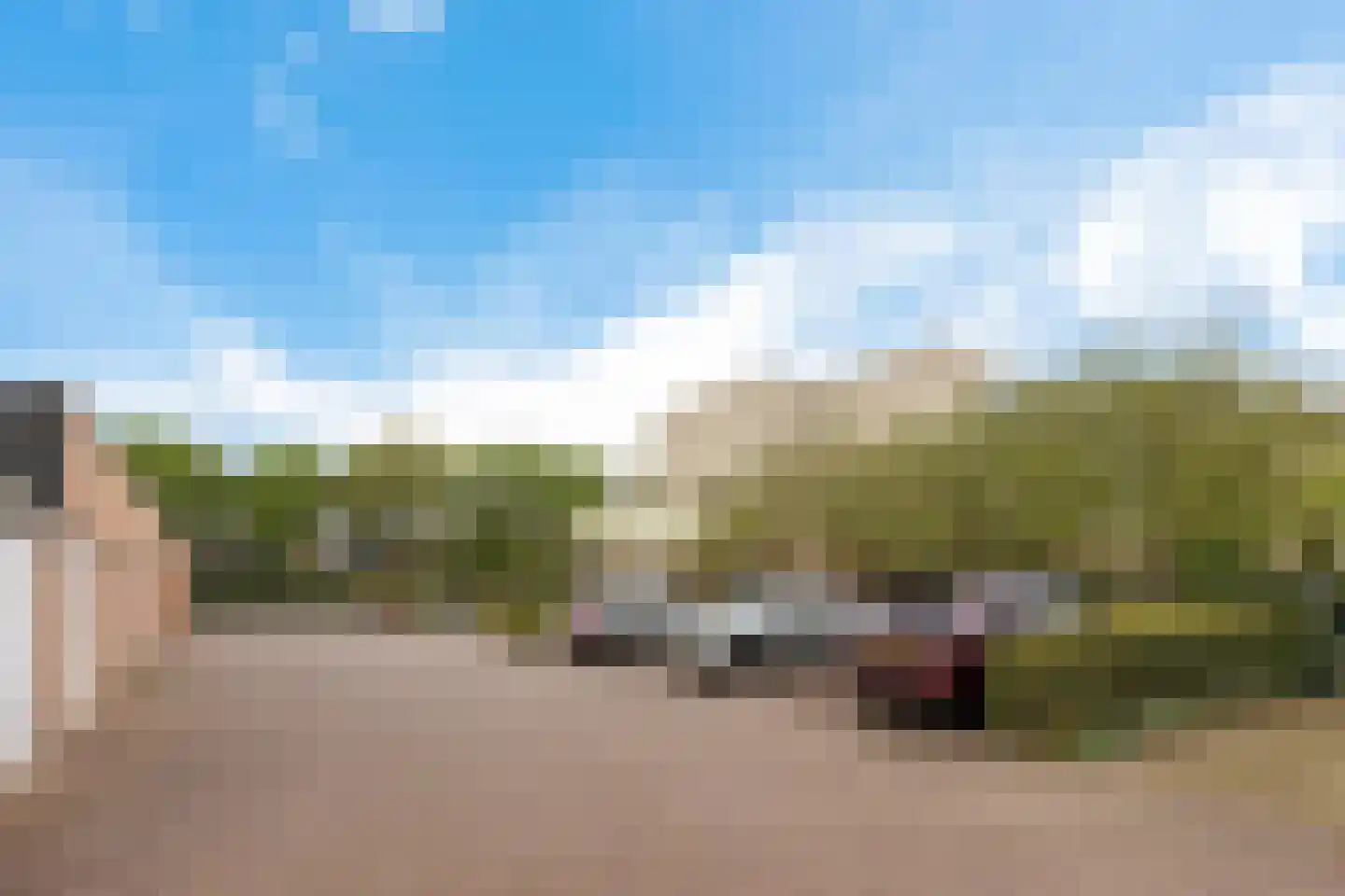 Jeneverbes 91 Oss thumbnail 33