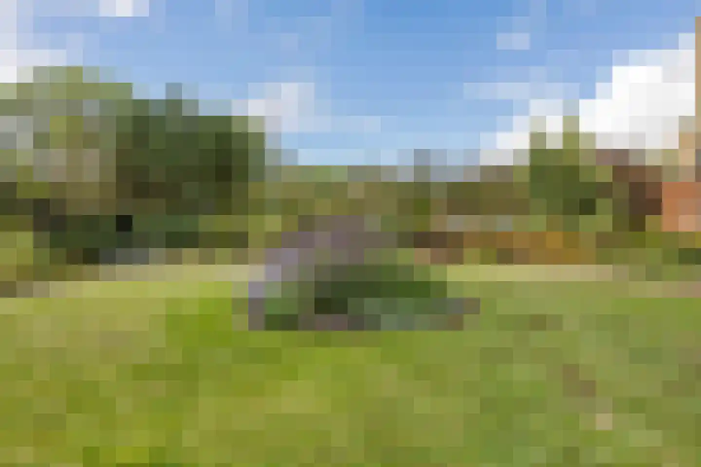 Jeneverbes 91 Oss thumbnail 35