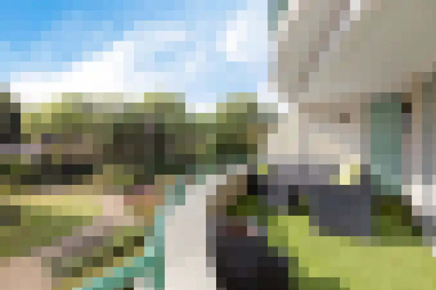 Jeneverbes 91 Oss thumbnail 4