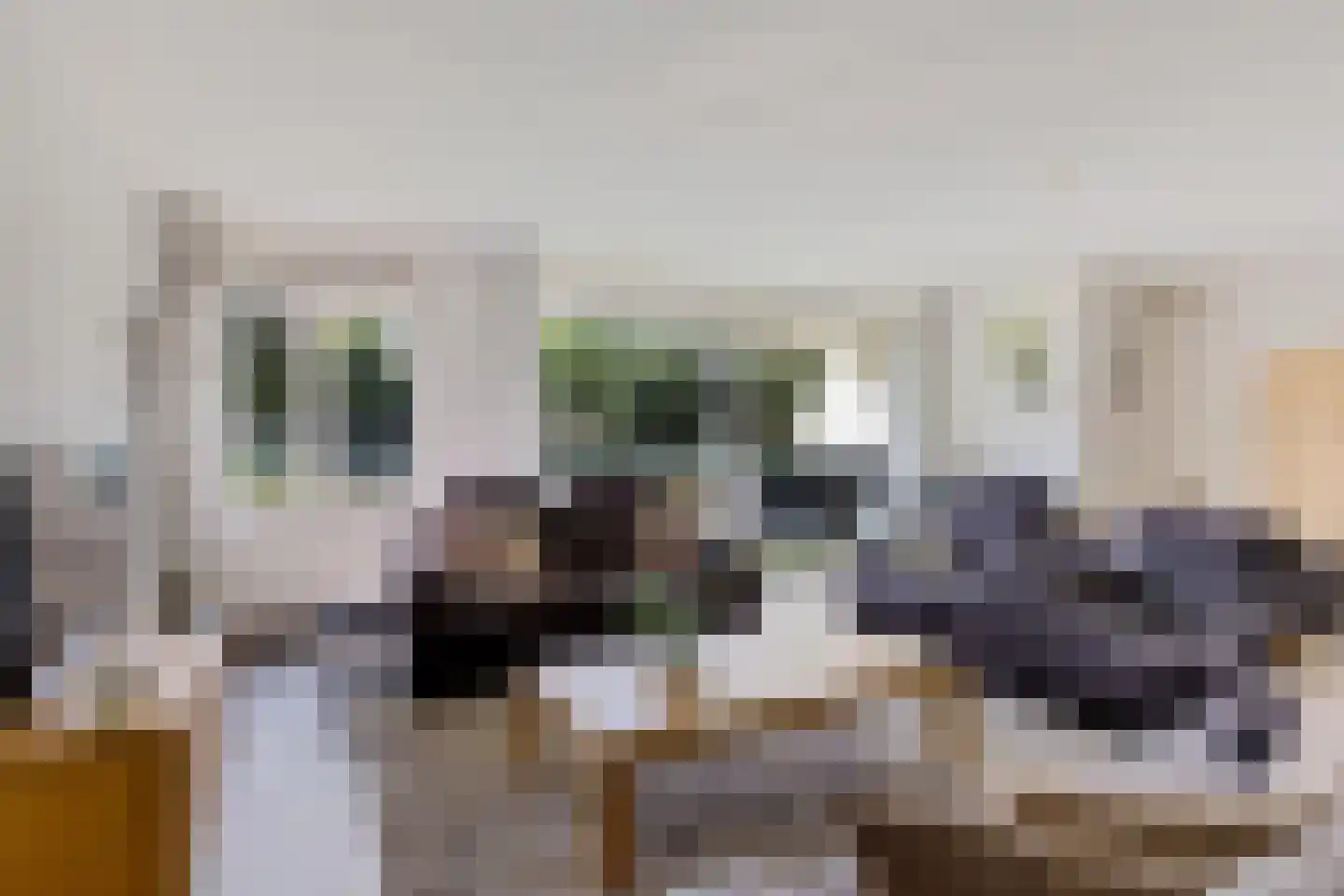 Jeneverbes 91 Oss thumbnail 8