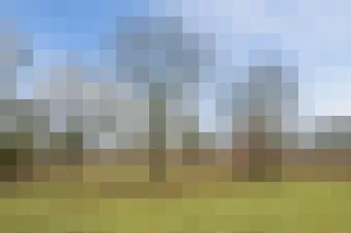 Jeneverbeslaan 23 Valkenswaard thumbnail 64