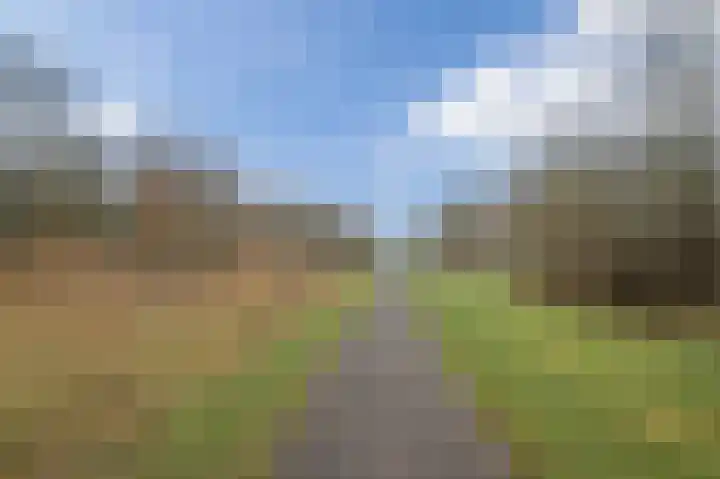 Jeneverbeslaan 23 Valkenswaard thumbnail 68
