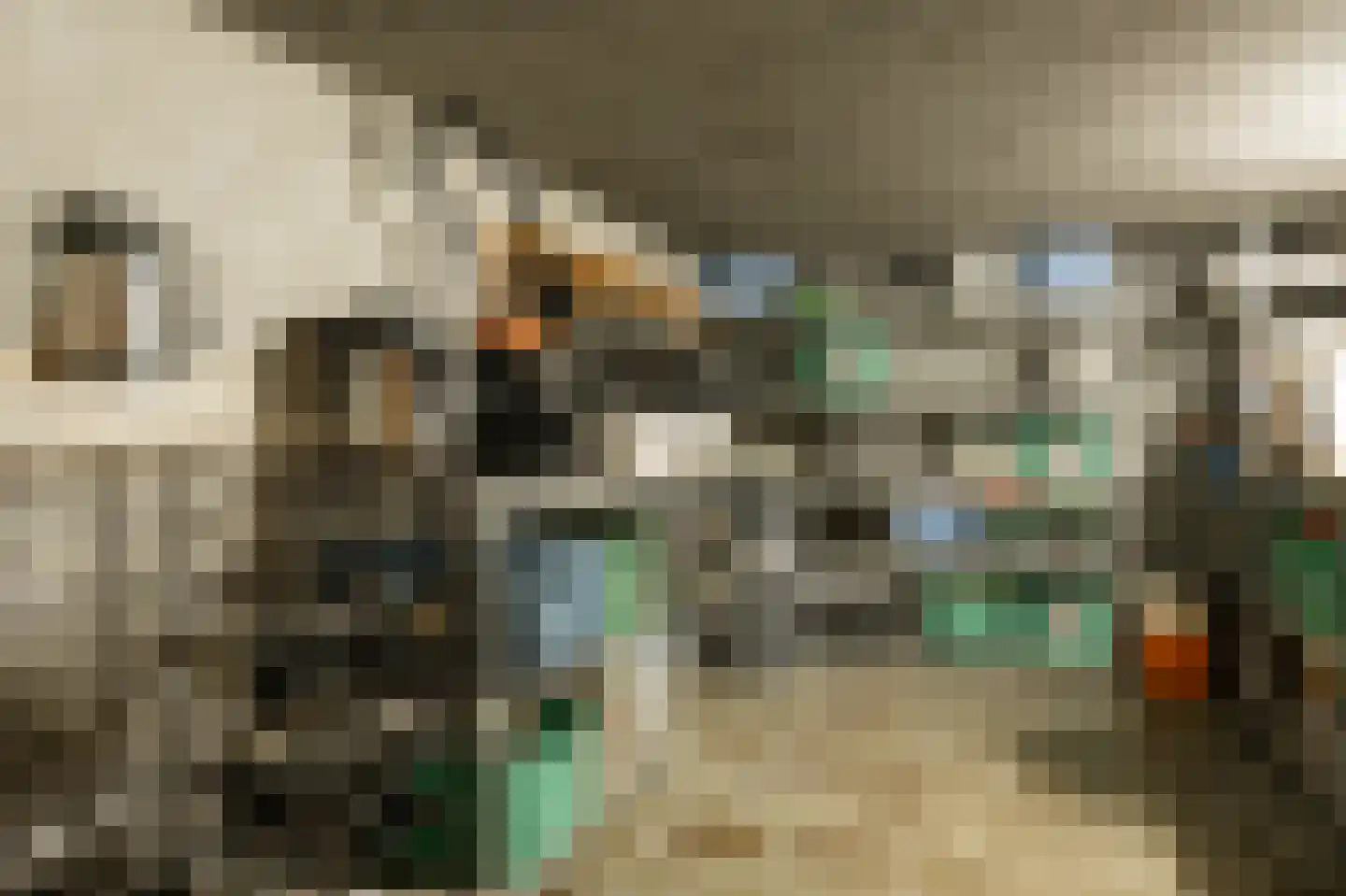 Jeneverbeslaan 5 Valkenswaard thumbnail 26