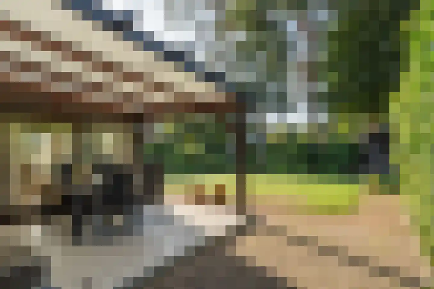 Jeneverbeslaan 5 Valkenswaard thumbnail 43