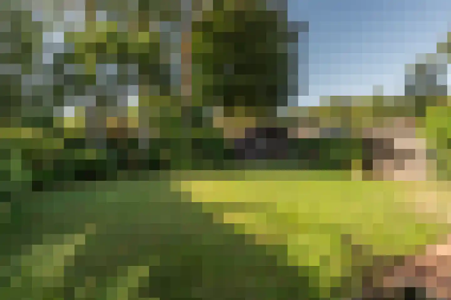 Jeneverbeslaan 5 Valkenswaard thumbnail 45