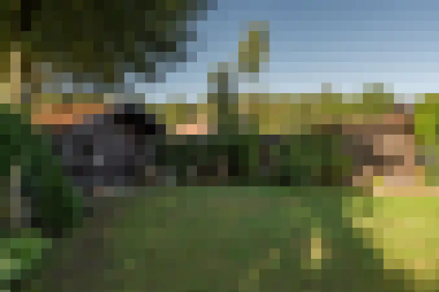 Jeneverbeslaan 5 Valkenswaard thumbnail 48