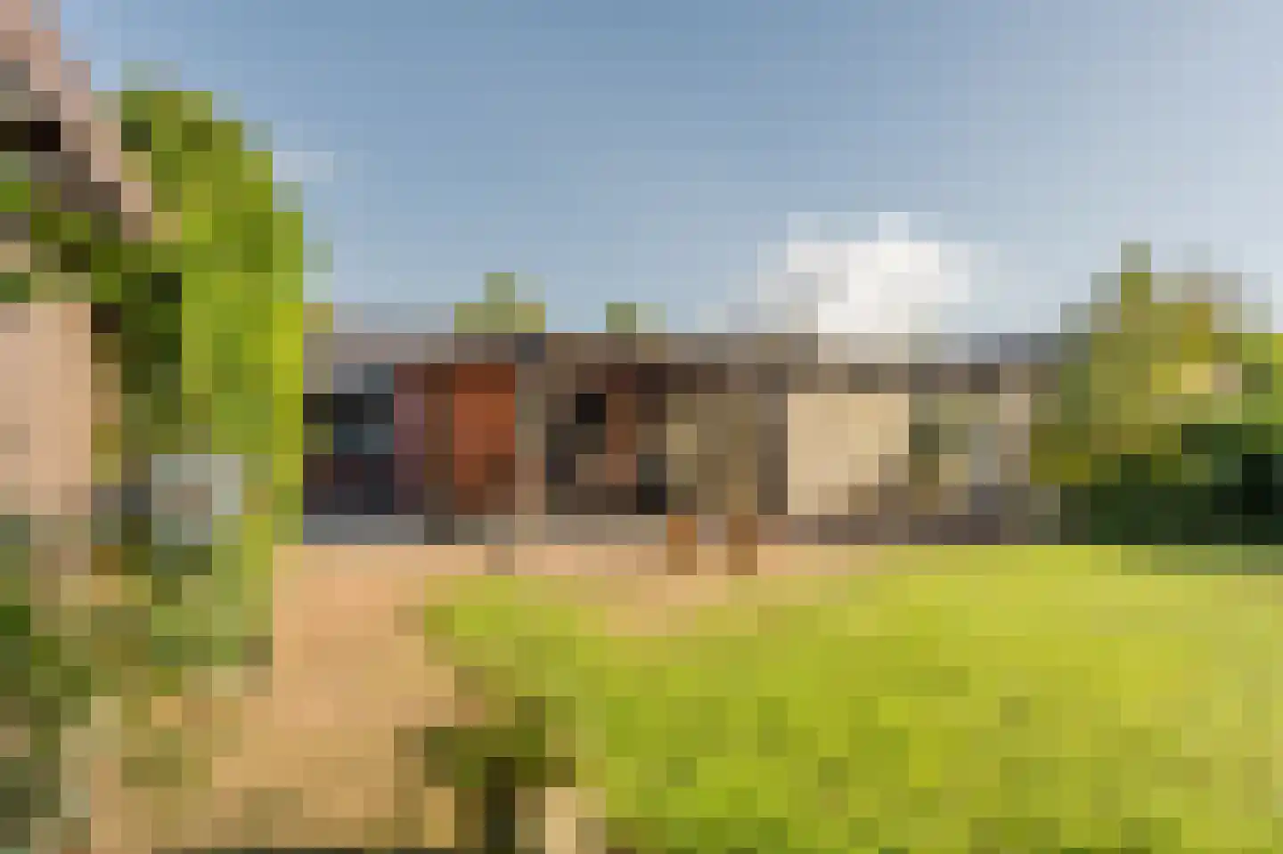 Jeneverbeslaan 5 Valkenswaard thumbnail 52