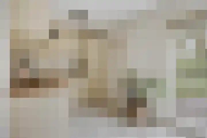 Jeneverbesweg 5 Soest thumbnail 10