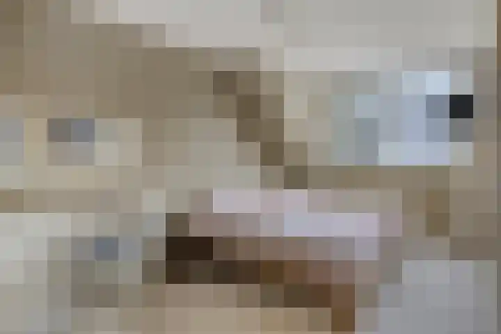 Jeneverbesweg 5 Soest thumbnail 21