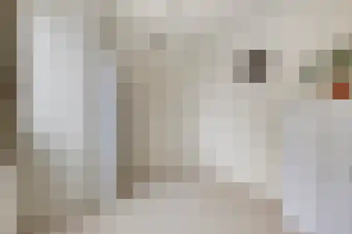 Jeneverbesweg 5 Soest thumbnail 26