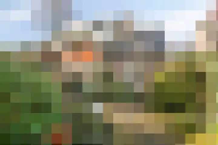 Jeneverbesweg 5 Soest thumbnail 34