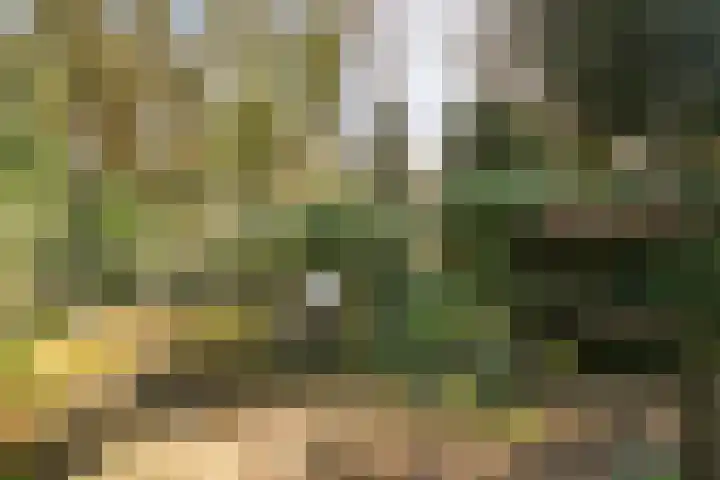 Jeneverbesweg 5 Soest thumbnail 35