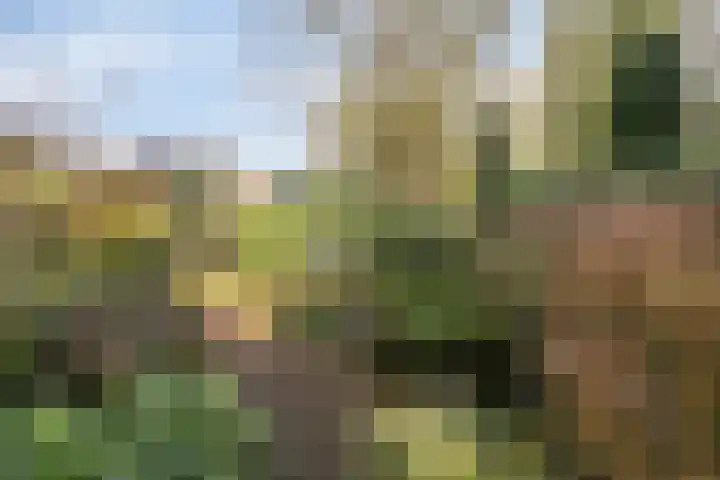 Jeneverbesweg 5 Soest thumbnail 36