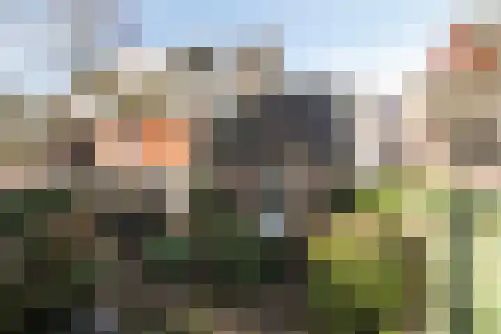 Jeneverbesweg 5 Soest thumbnail 37