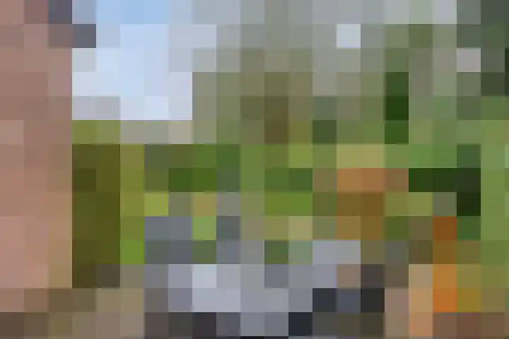 Jeneverbesweg 5 Soest thumbnail 38