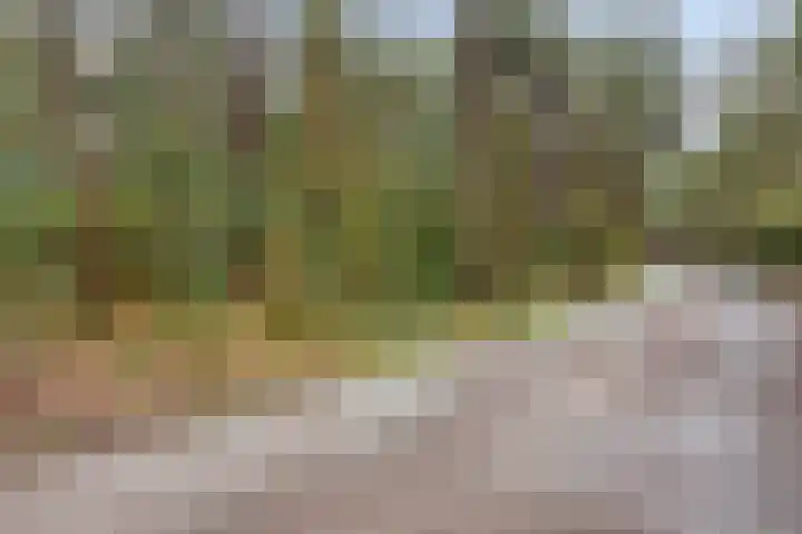 Jeneverbesweg 5 Soest thumbnail 39