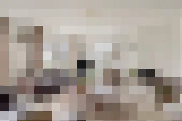Jeneverbesweg 5 Soest thumbnail 4