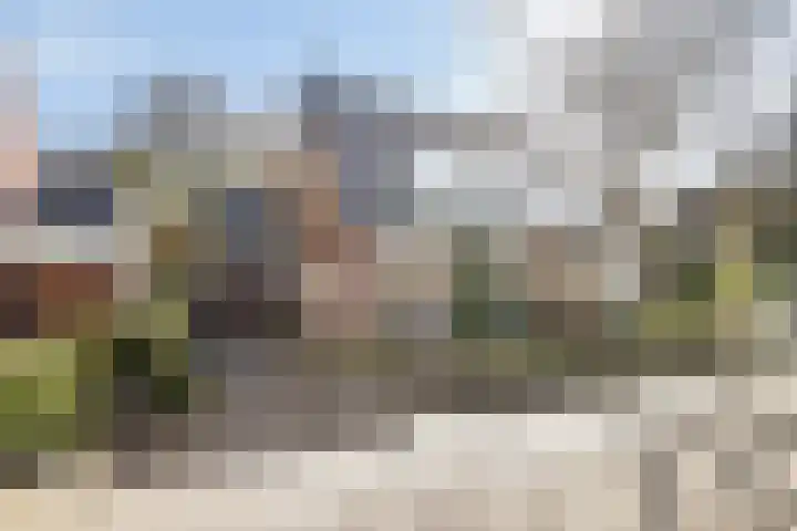 Jeneverbesweg 5 Soest thumbnail 41