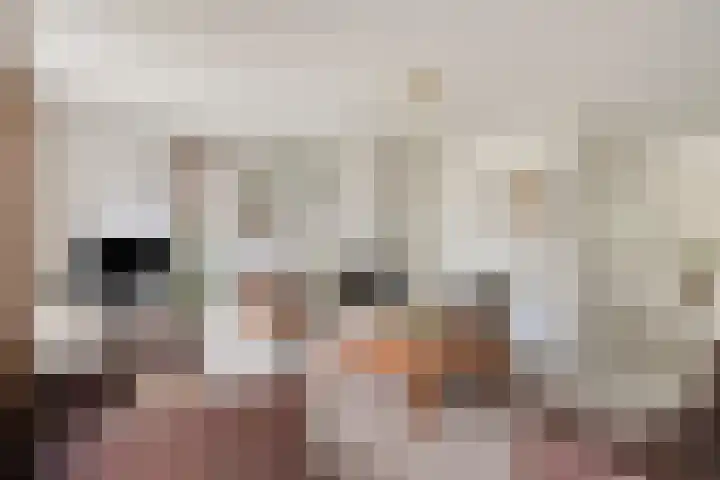 Jeneverbesweg 5 Soest thumbnail 5