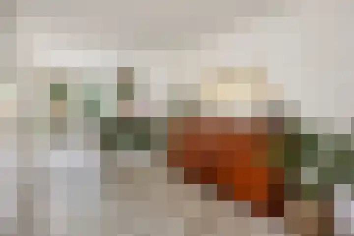 Jeneverbesweg 5 Soest thumbnail 7