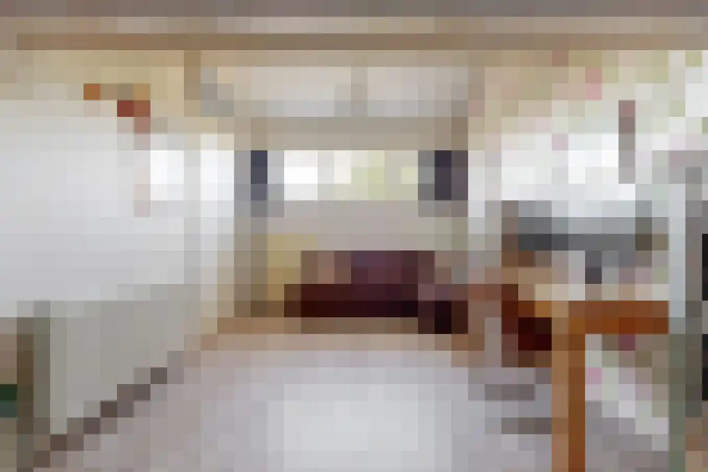 Jenneke E. Bijlhof 11 Waarder thumbnail 24