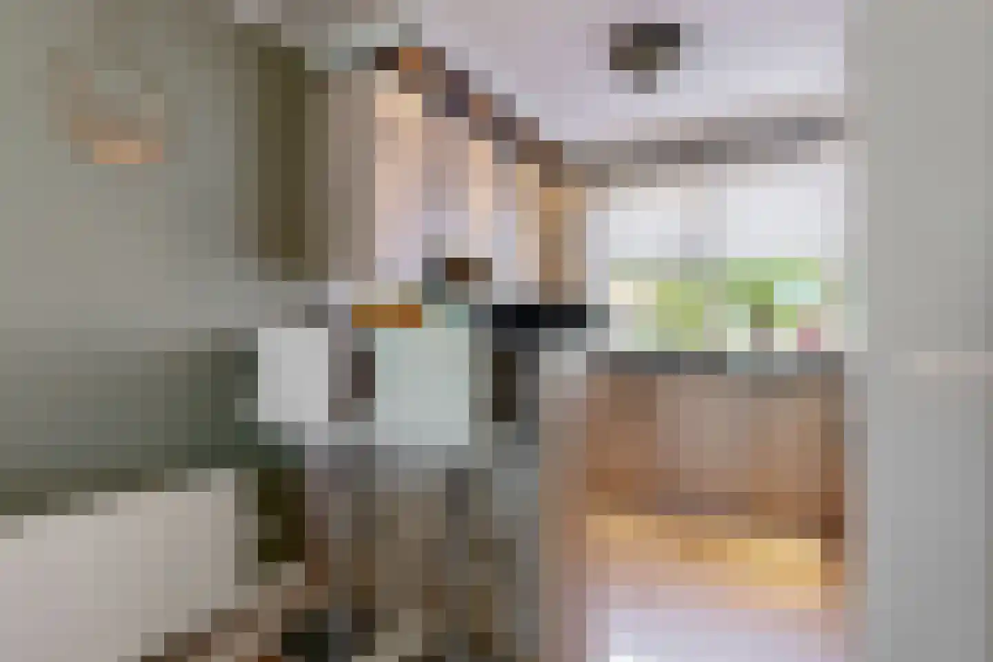 Jenneke E. Bijlhof 11 Waarder thumbnail 7