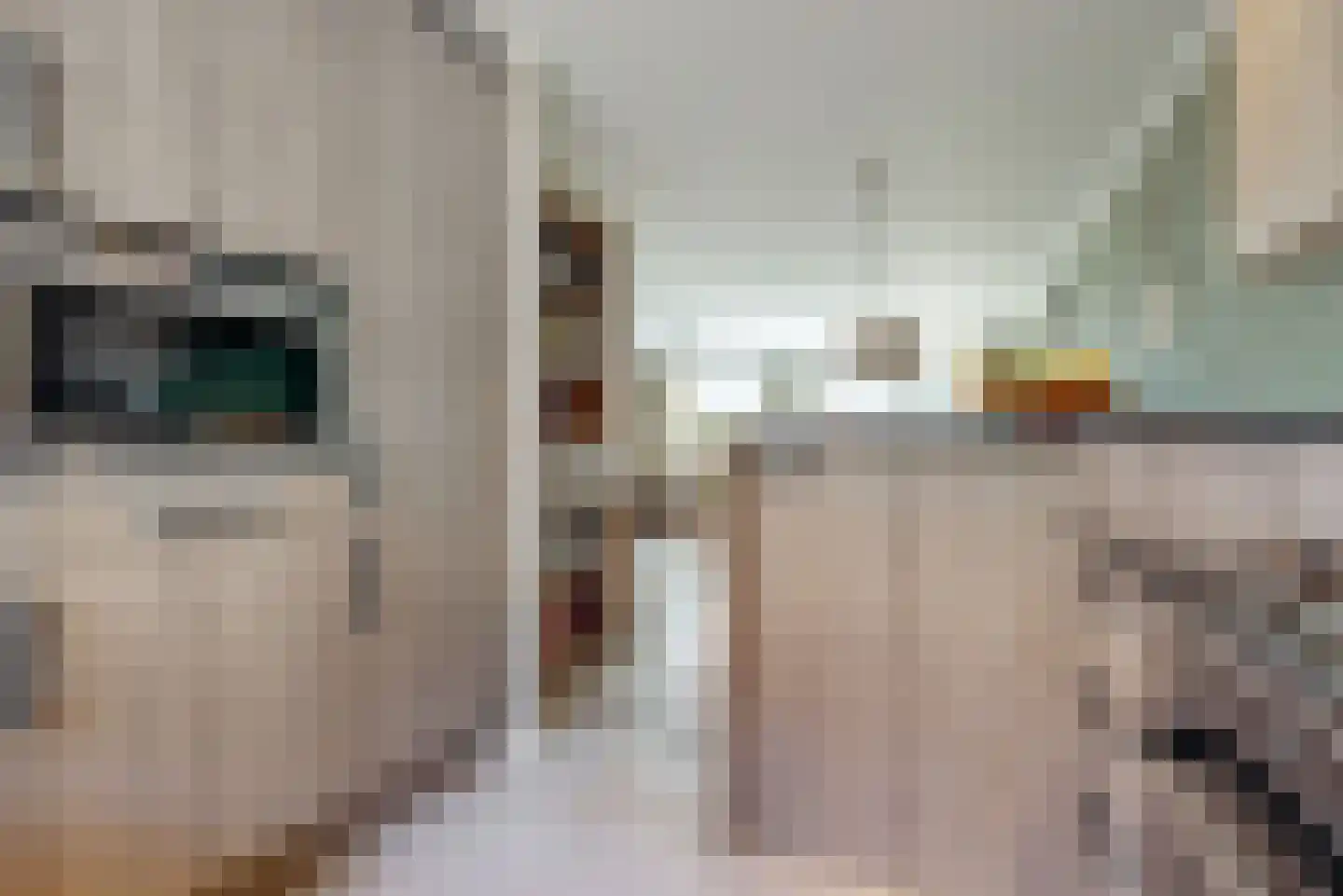 Jenneke E. Bijlhof 11 Waarder thumbnail 8