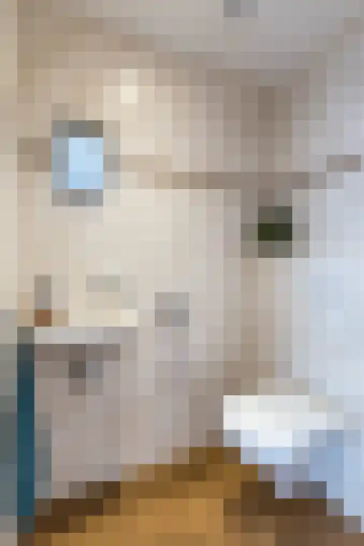 Jenneke E. Bijlhof 15 Waarder thumbnail 11