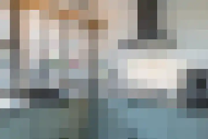 Jenneke E. Bijlhof 15 Waarder thumbnail 17