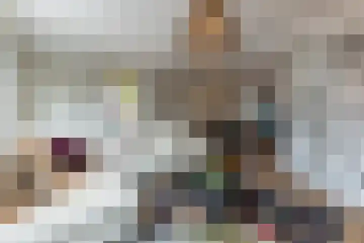 Jenneke E. Bijlhof 15 Waarder thumbnail 26